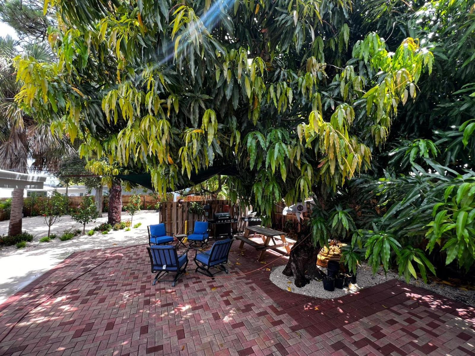 Luxury Quiet Studio - Fort Lauderdale Exterior foto